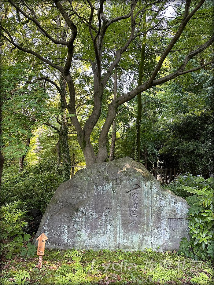 【2023東京自由行】清澄白河｜清澄庭院