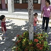 _DSC0005.JPG