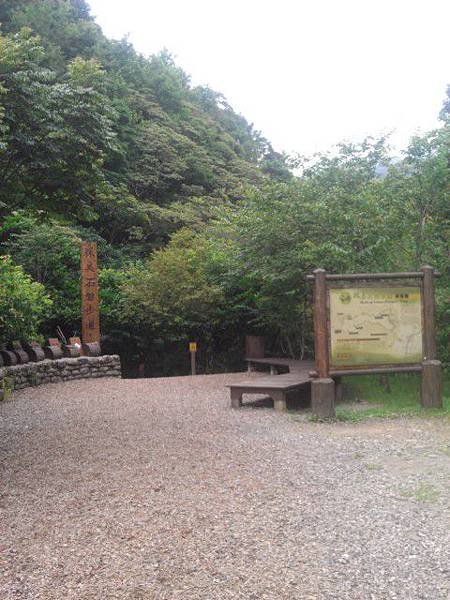 IMAG0240.jpg