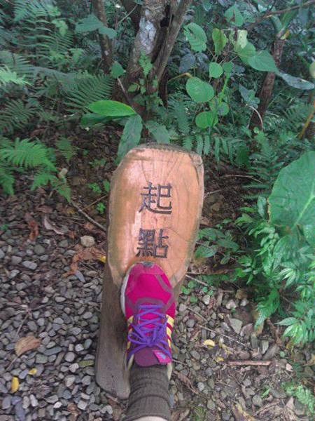 IMAG0242.jpg