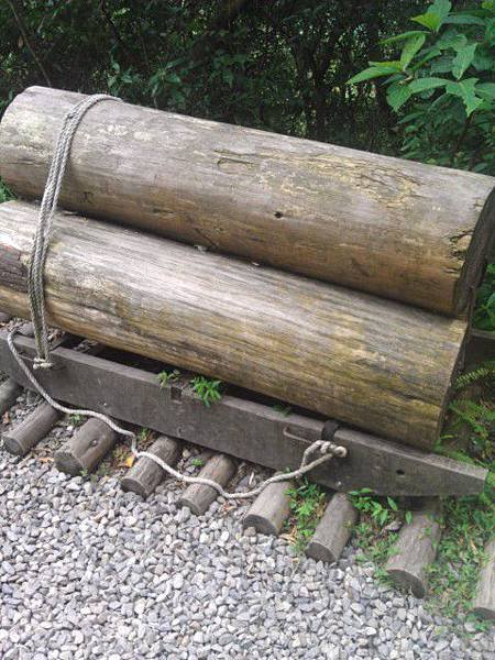 IMAG0244.jpg