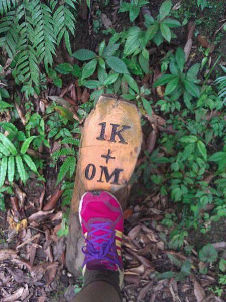 IMAG0267.jpg