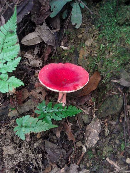 IMAG0268.jpg