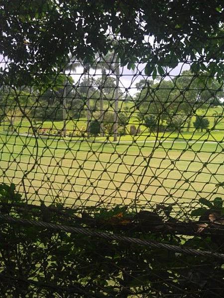 IMAG0287.jpg