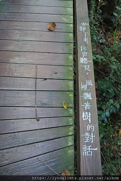 PB164043.JPG