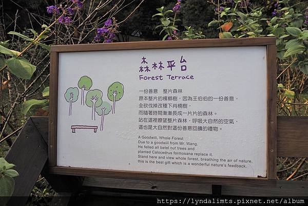 PB164077.JPG