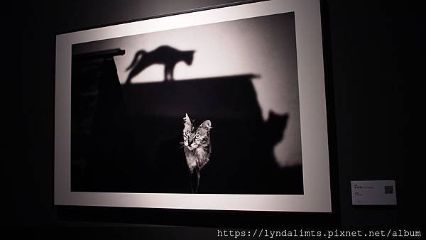 F019.JPG