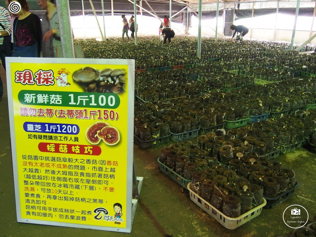 B001.JPG