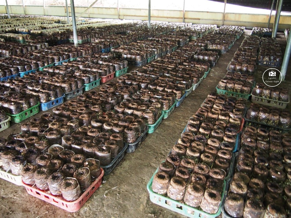 B013.JPG