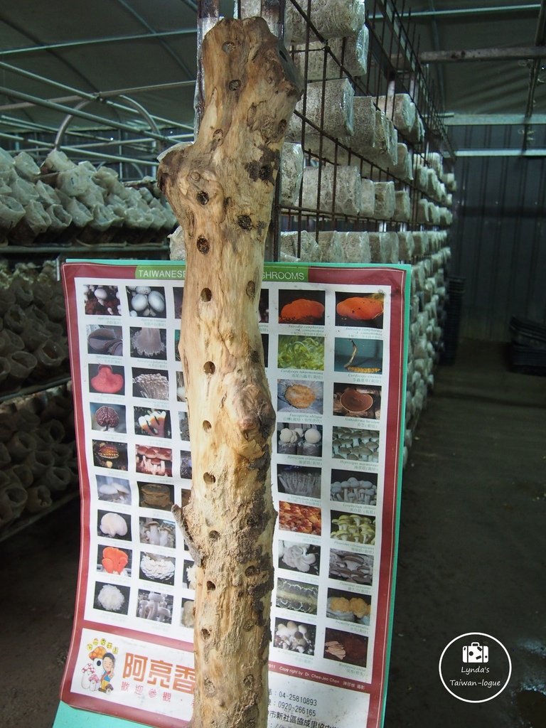 B022.JPG