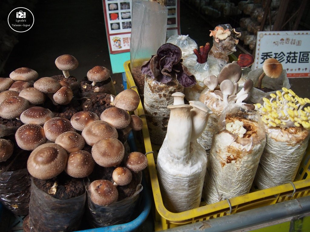 B024.JPG