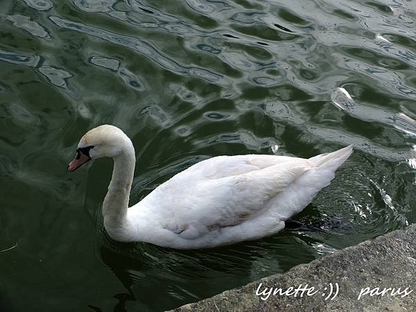 凡爾賽宮 花園2012_0711_232309