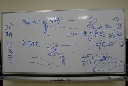 英文課+動物課玉米蛇+刺蝟+Updownaround學習單 009