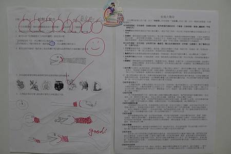英文課+動物課玉米蛇+刺蝟+Updownaround學習單 424