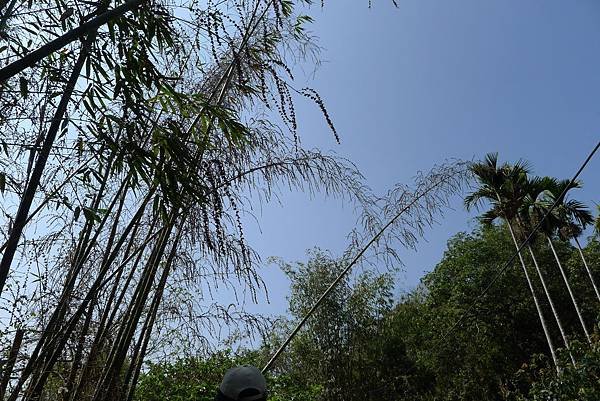 P1710063