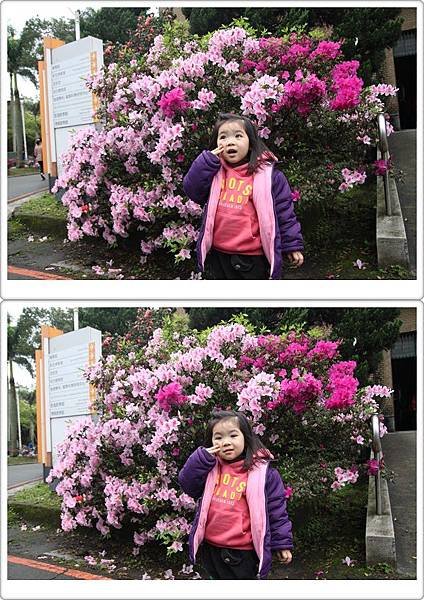 IMG_1888-vert