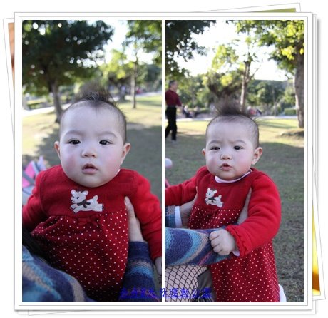 卉卉婚禮10.jpg