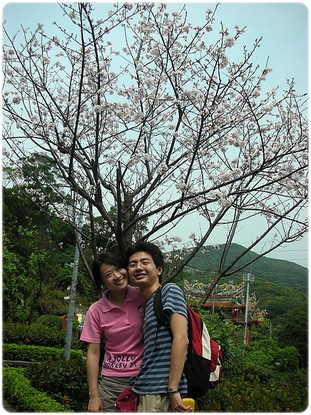 DSCN2990.JPG