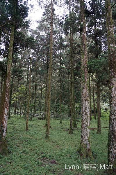 福山植物園-1