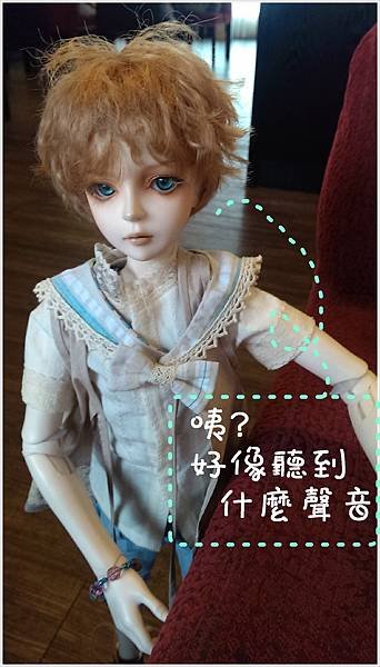 IMAG1265