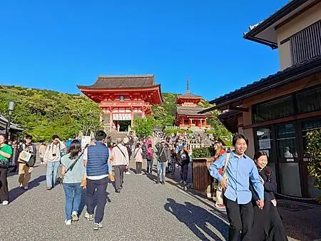 第一次搭星宇航空/日本大阪京都奈良/2024年/山富旅遊跟團