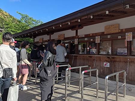 第一次搭星宇航空/日本大阪京都奈良/2024年/山富旅遊跟團