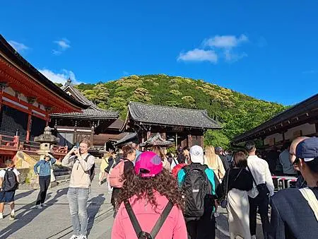 第一次搭星宇航空/日本大阪京都奈良/2024年/山富旅遊跟團