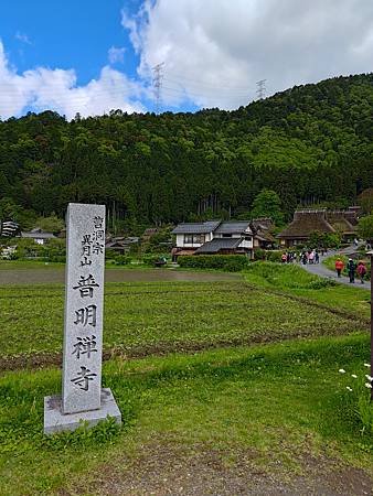 第一次搭星宇航空/日本大阪京都奈良/2024年/山富旅遊跟團