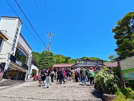 第一次搭星宇航空/日本大阪京都奈良/2024年/山富旅遊跟團