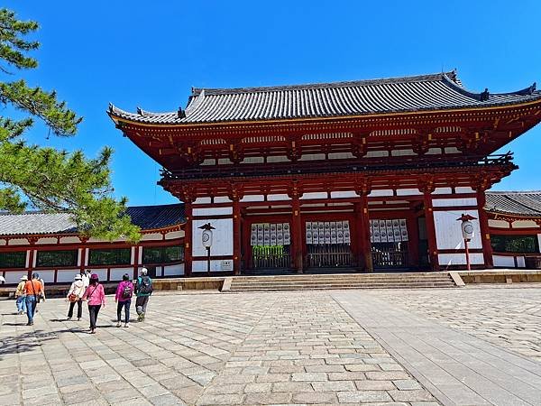 第一次搭星宇航空/日本大阪京都奈良/2024年/山富旅遊跟團