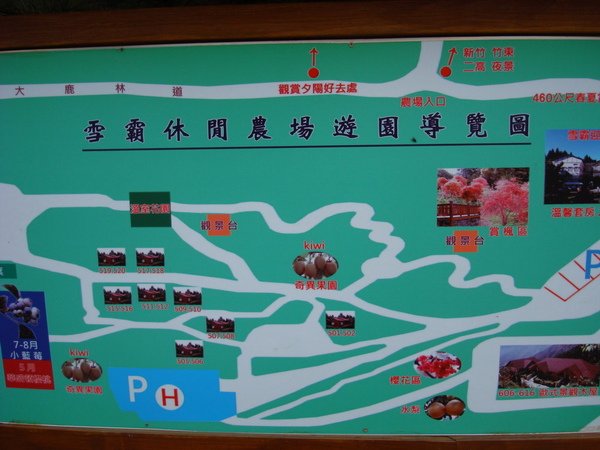 DSC01437_1.jpg