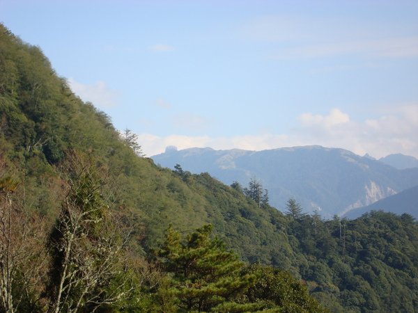 DSC01459.jpg