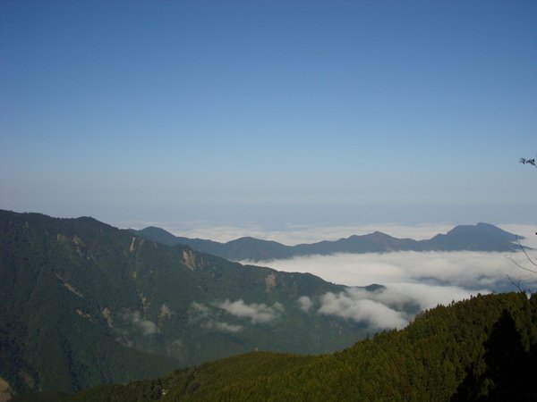DSC01571.jpg