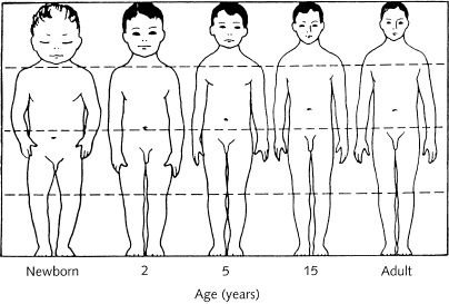 019852403x_development-and-growth-school-age-and-adolescence_1