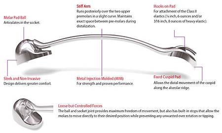 GraphicDescripDISTALIZER