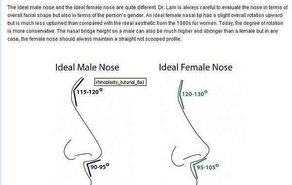 diagramidealmaleandfema