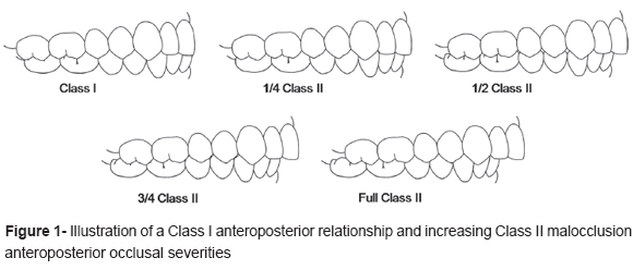 a13fig01