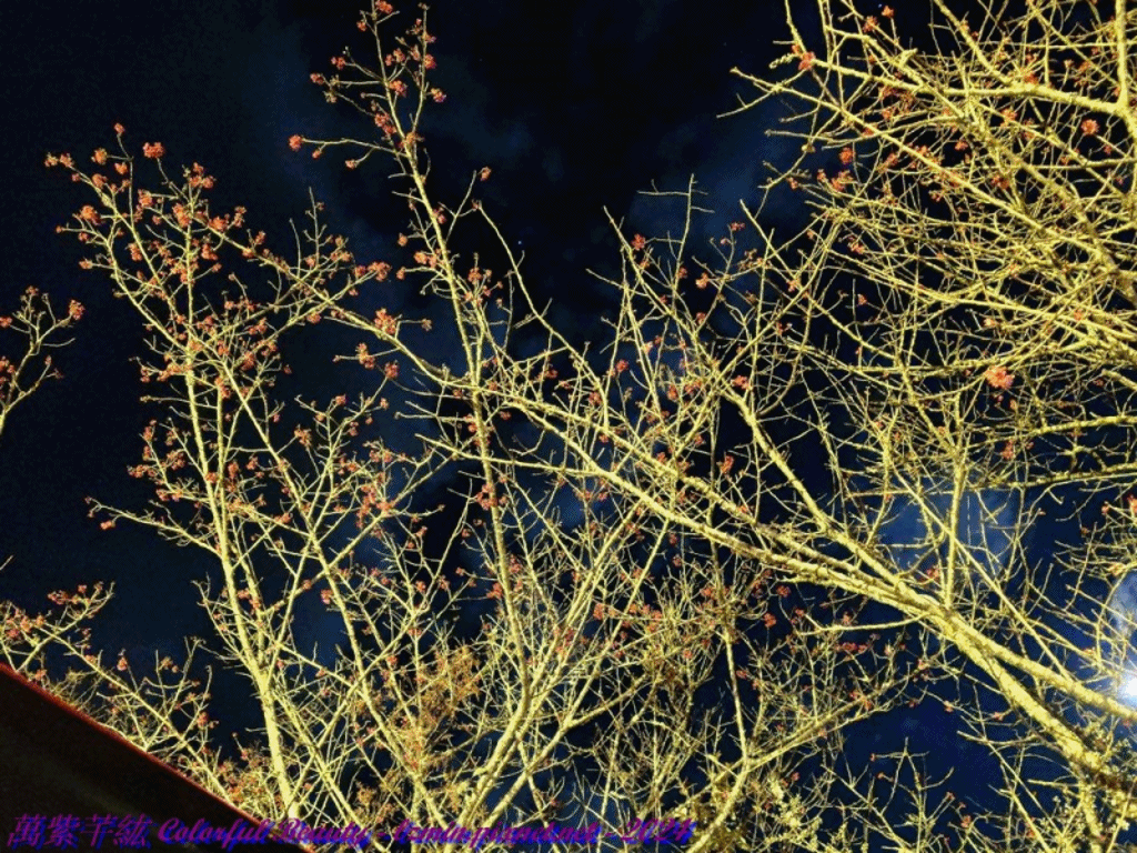 萬紫芊紘-第68露-就是要溫泉!!信義鄉恩福溫泉~~