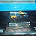 nEO_IMG_100_4249.jpg