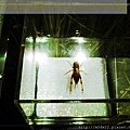 nEO_IMG_100_4355.jpg