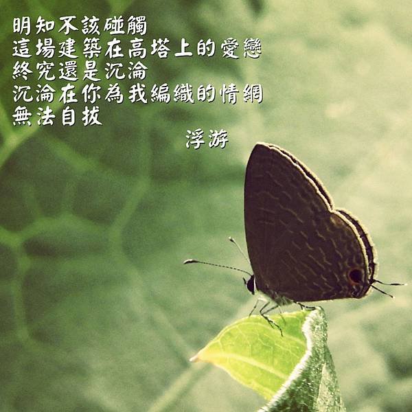 DSCN3921_meitu_3.jpg