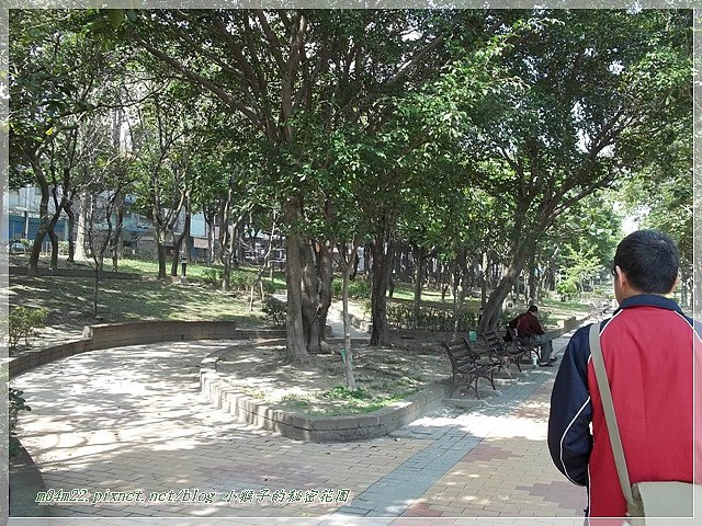 朝陽森林公園10.JPG