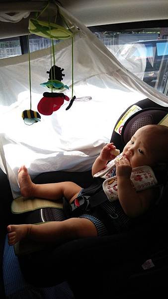 IMG_20150925_090833.jpg