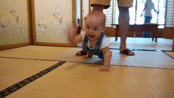 IMG_20150925_112636.jpg
