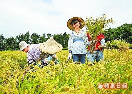 基金調降惹議《農村再生條例》卡住.jpg