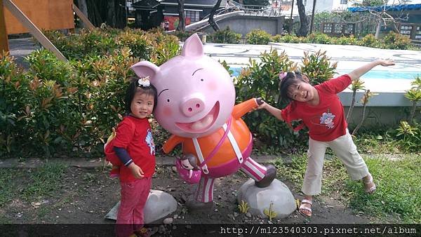 PIC003617