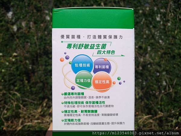 P_20191113_130020_vHDR_On.jpg