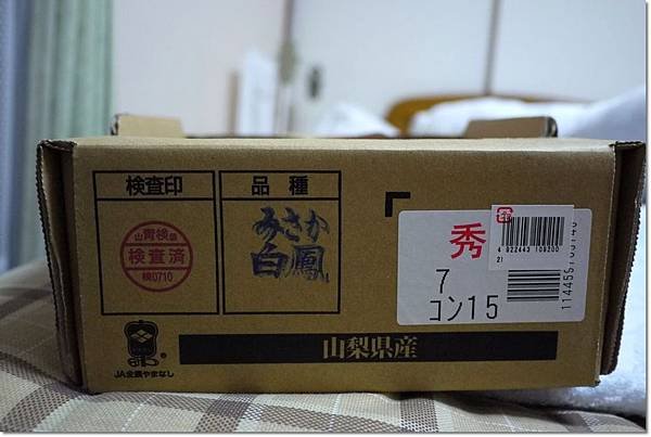 P1000568.jpg