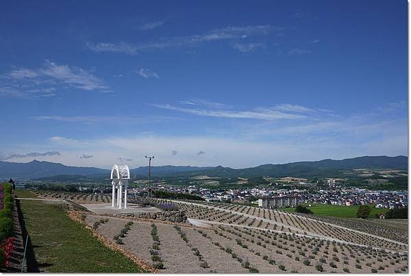 P1000610.jpg