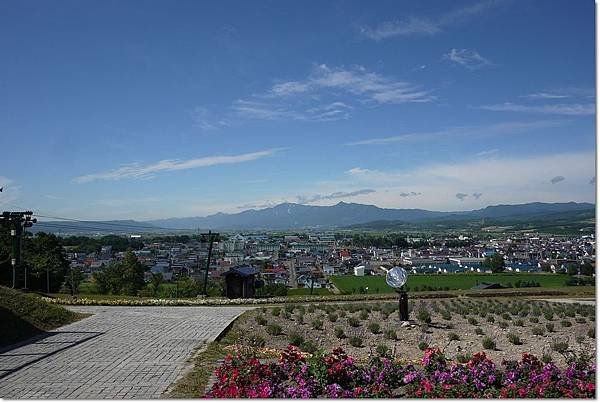 P1000620.jpg